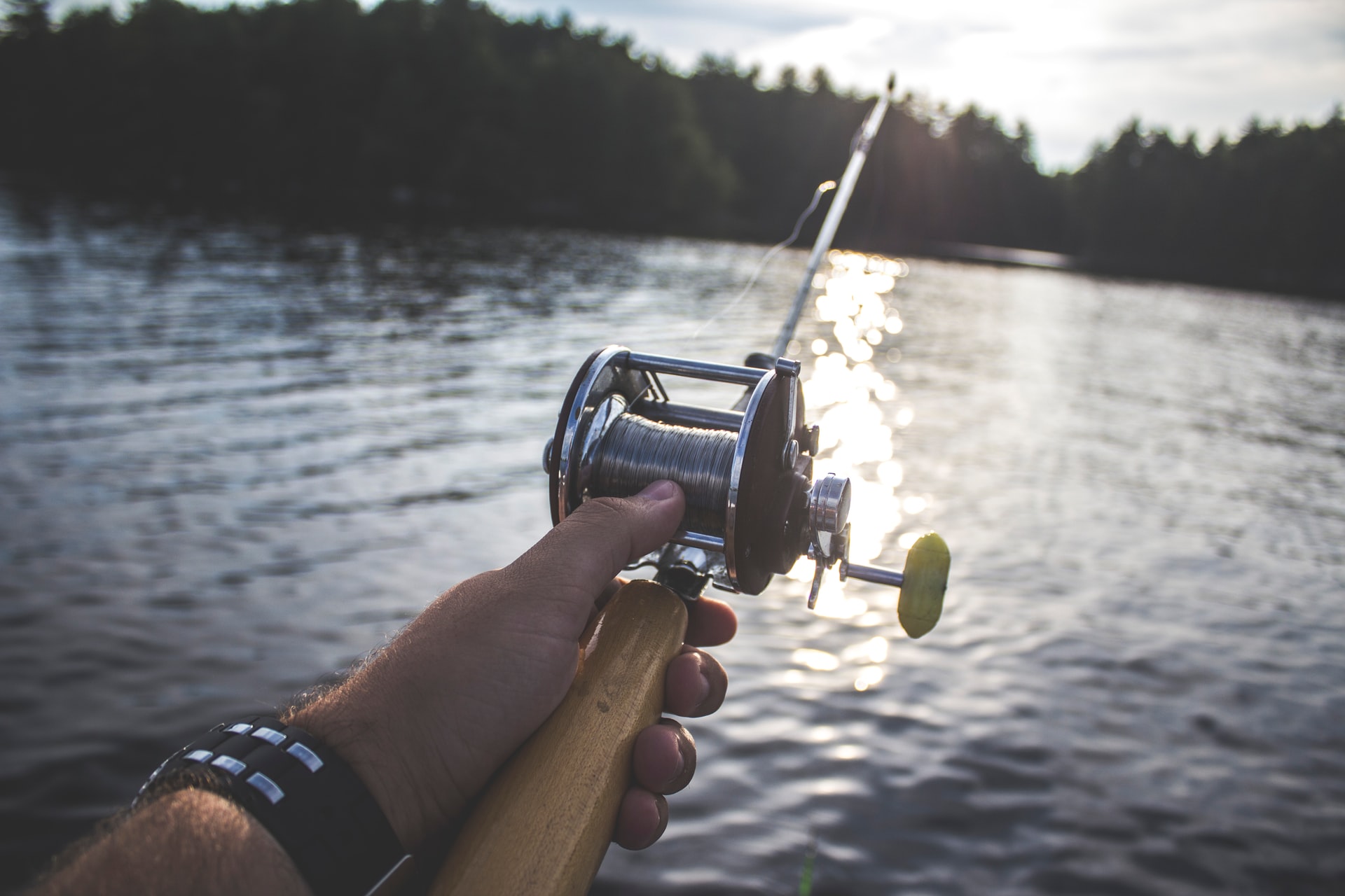 Which fishing rod to buy? Beginner’s guide to fishing