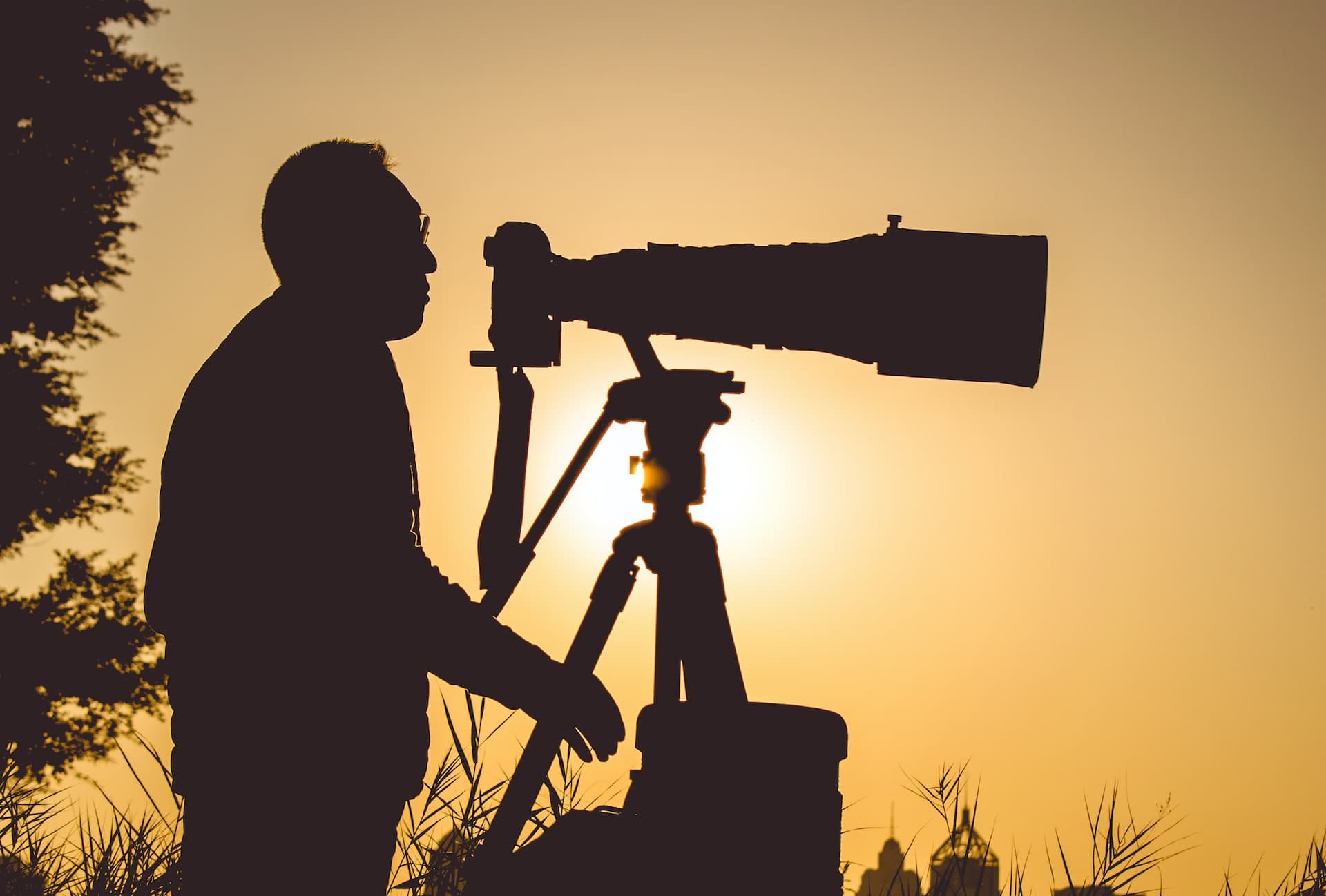 Best Tripod for Telescope: How to Choose the Right One