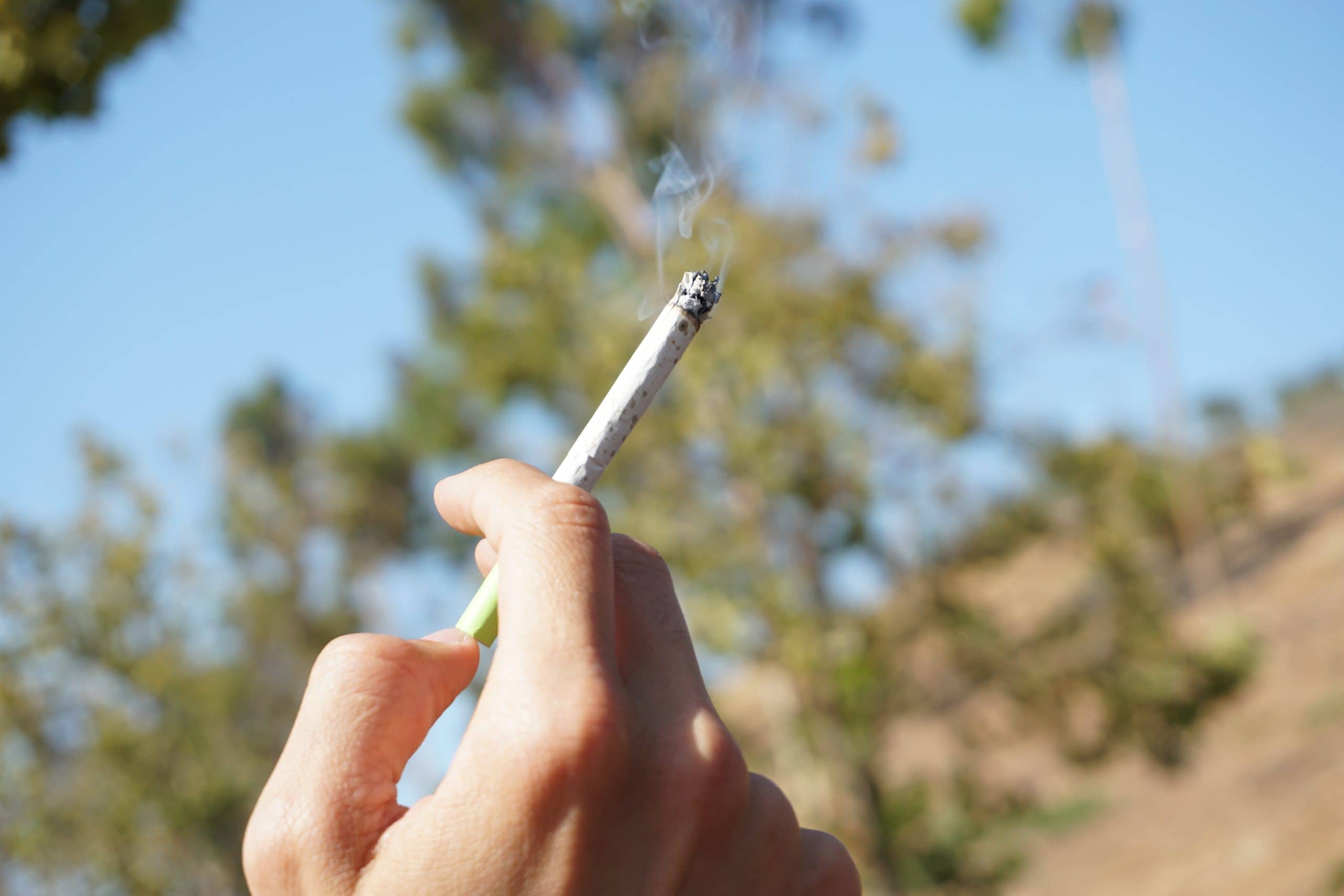 A Comprehensive Guide to Self-Producing Cigarettes: Where to Start