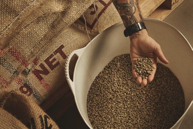 Mastering Precision with Sample Roasters: Unlocking the Perfect Coffee Roast