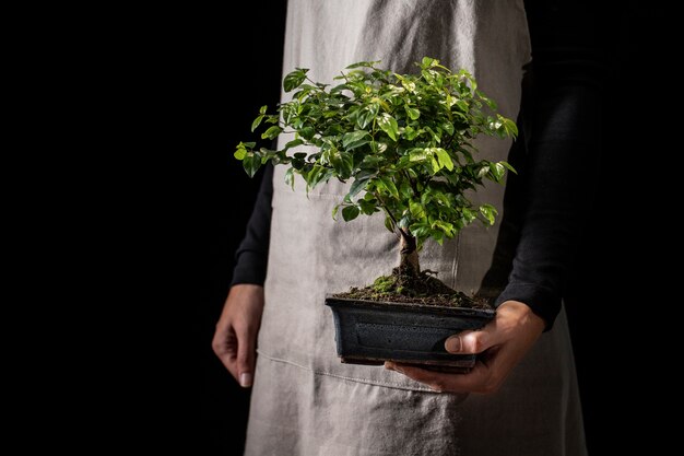 Exploring the Art of Bonsai: Cultivating Patience and Creativity